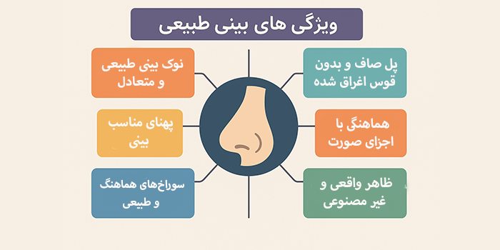ویژگیهای بینی طبیعی چیست؟